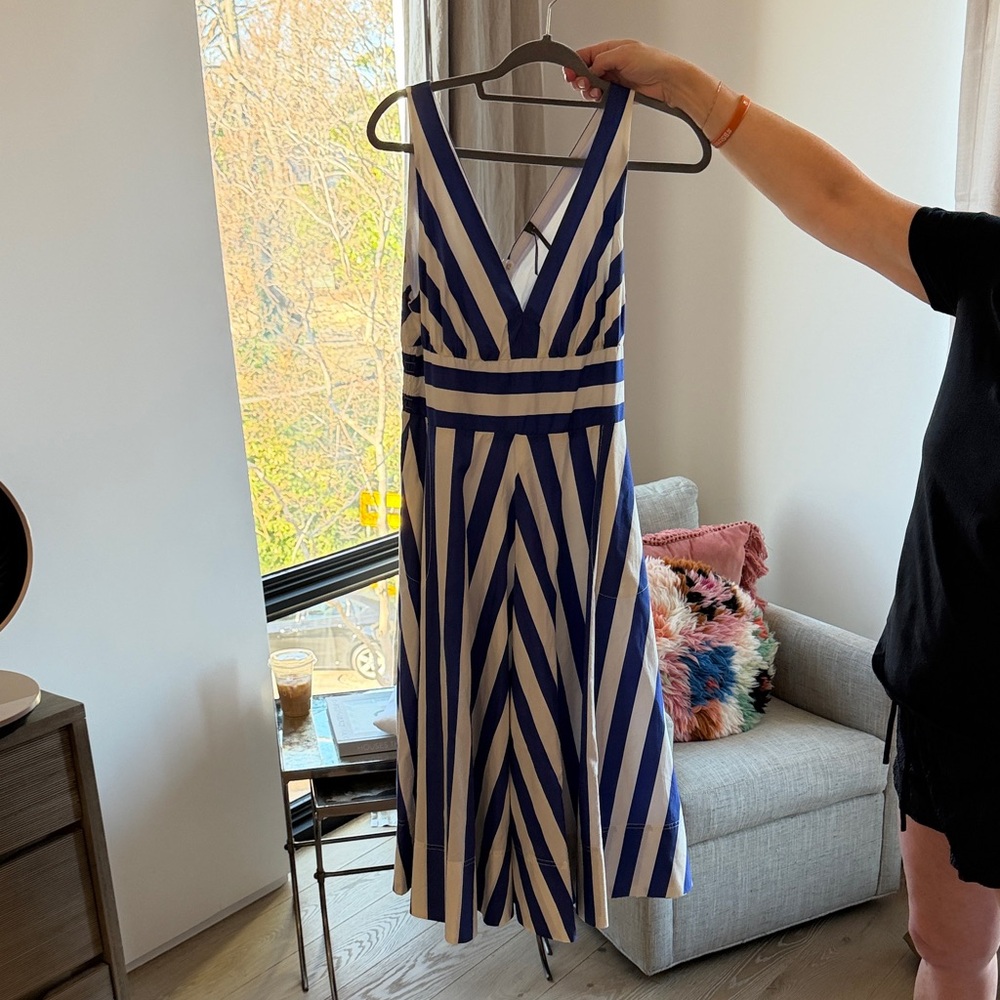 Anthropologie Navy and White Midi Dress